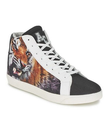 WILDCAT Tigre